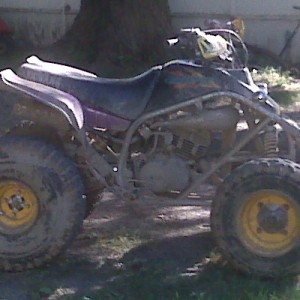 old pic but shes muddy!