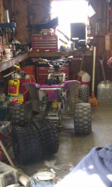 IMAG1089this how she's sits now..waiting for her +3 swinger for 400ex shock an port job courtesy to 00 WO YA