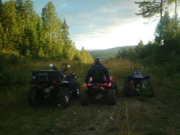 Me and 2 of my brothers out trailing, funny thing is that the bigger the 4wheeler, the younger the brother... Mines on the far right.