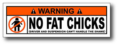 NO-FAT-CHICKS-Funny-Warning-Decal-Window-Sticker.jpg