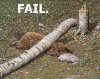 fail_beaver.jpg