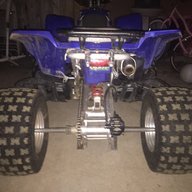 bajaislife