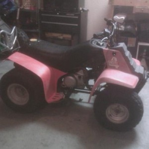 The badger the first day I got it .with a blown 80 cc 4 stroke