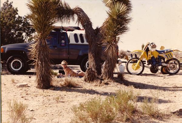 Colorado desert, 1988