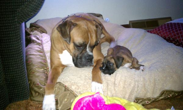 Dexter and Lexie :)