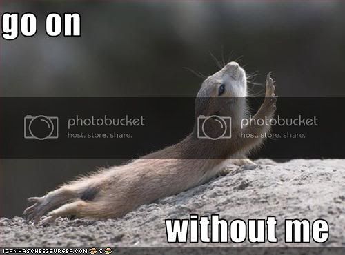 funny-pictures-chipmunk-asks-you-to-go-on.jpg