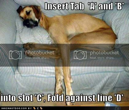 funny-dog-pictures-fold-dog-couch-directions.jpg